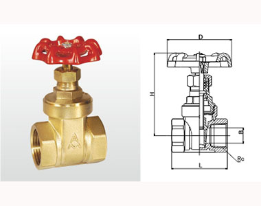 66moŹʻͭբ (ͨףṹͼ