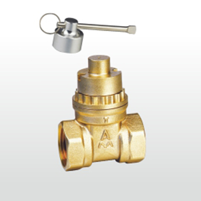 66mo威九国际磁性带锁闸阀