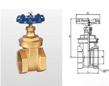 66moŹʻͭբ ()ṹͼ