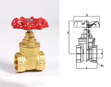 66moŹʻͭբ169ṹͼ