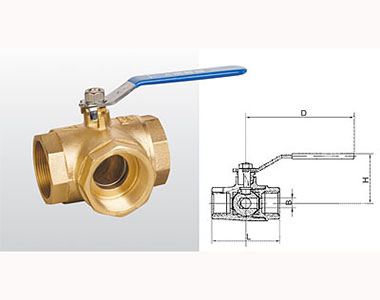 66moŹʻͭͨ(T)ṹͼ