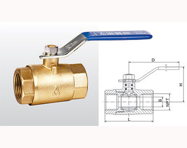 66mo威九国际阀门