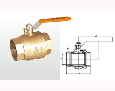66moŹʻͭȼ208A ṹͼ