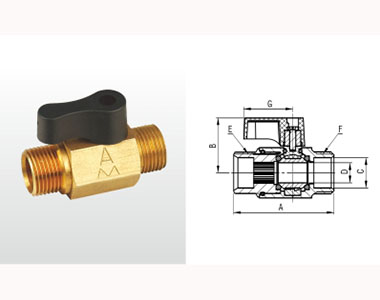 66moŹʻͭС255ṹͼ