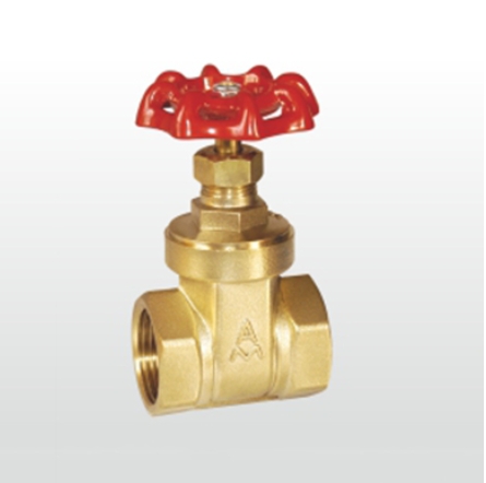 66mo威九国际铜闸阀169图片展示