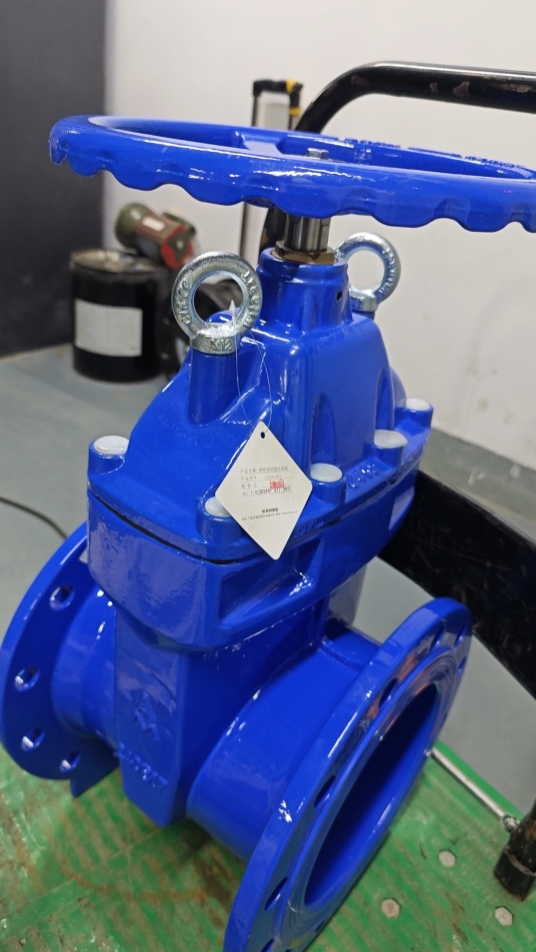 66mo威九国际闸阀