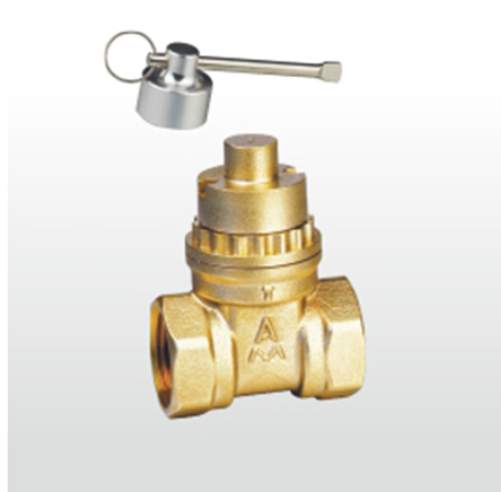 66mo威九国际黄铜磁性带锁闸阀图片